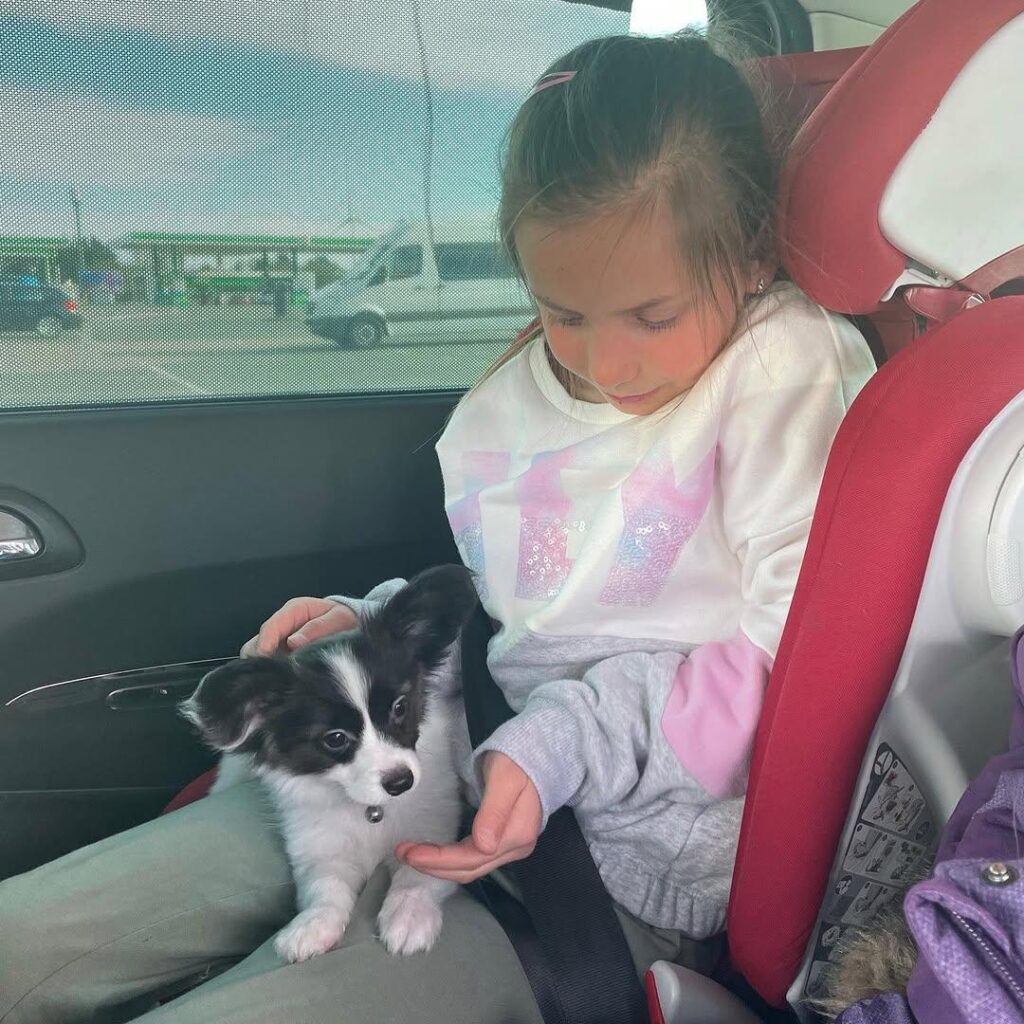 whatsapp image 2026 03 16 at 18.23.40