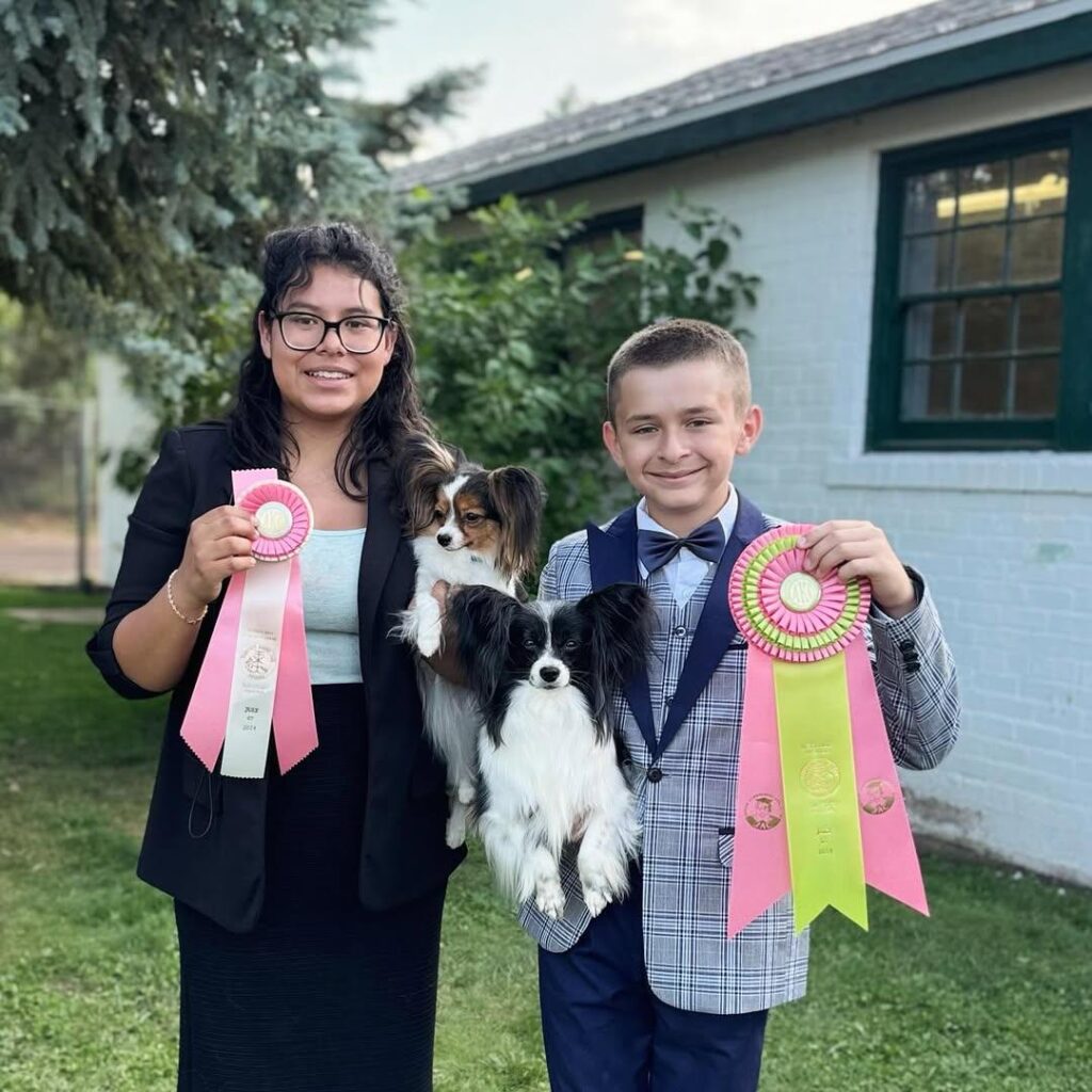 whatsapp image 2026 03 16 at 18.23.42