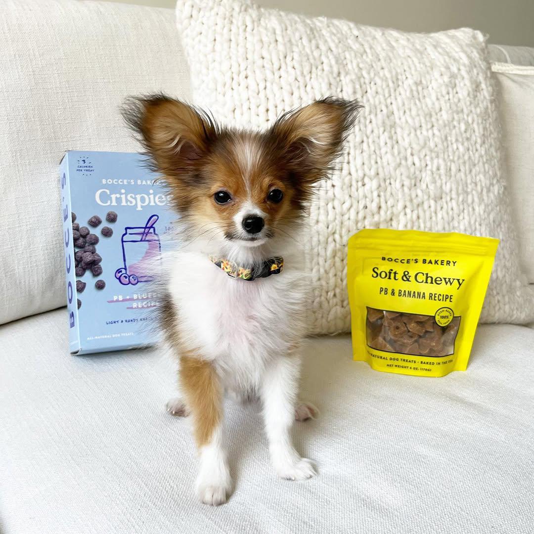 whatsapp image 2026 03 17 at 05.48.19