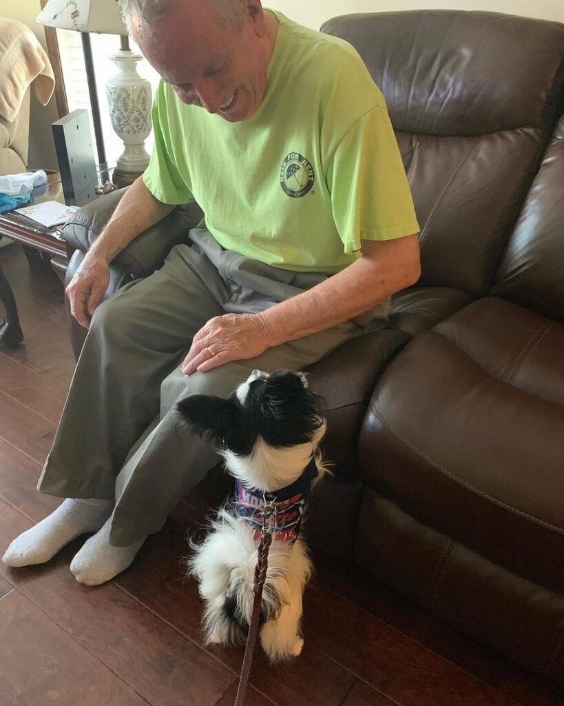 whatsapp image 2026 03 17 at 06.04.01