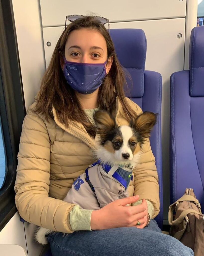 whatsapp image 2026 03 17 at 06.04.02 (1)