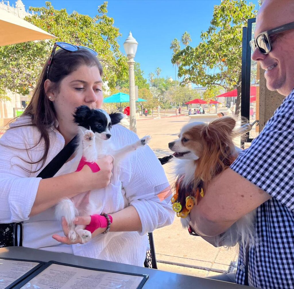 whatsapp image 2026 03 17 at 06.04.03