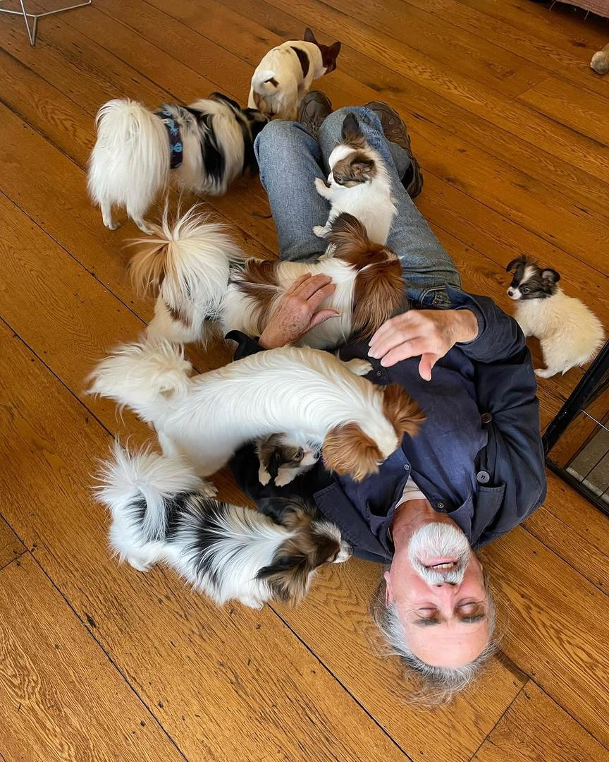 whatsapp image 2026 03 17 at 06.04.10