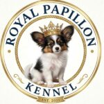 whatsapp image 2026 03 17 at 09.20.12