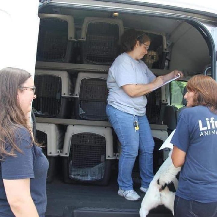 whatsapp image 2026 03 17 at 11.25.35